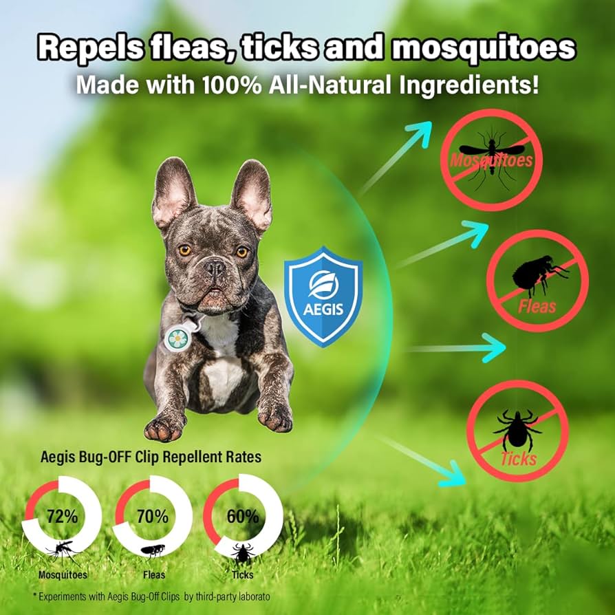 Free clip fleas, Download Free clip fleas png images, Free ClipArts on ...