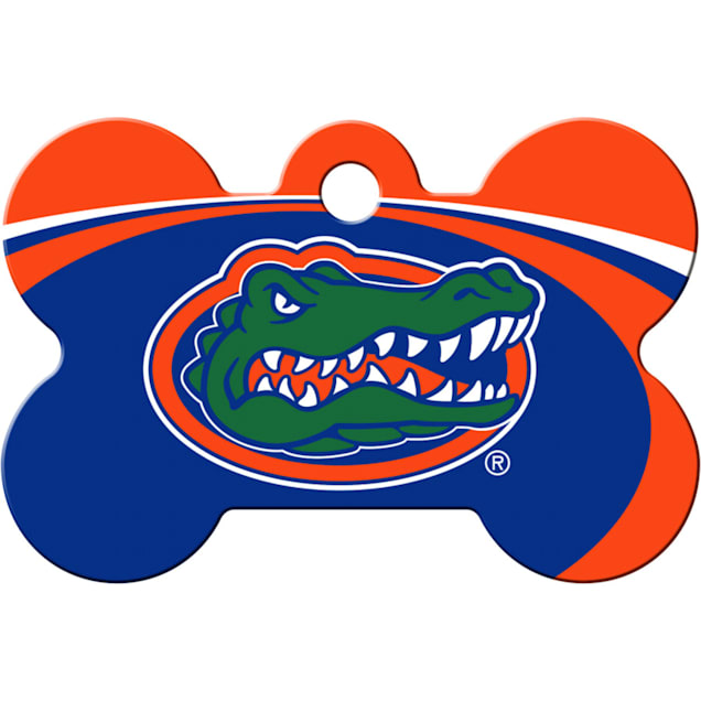 Florida Gators pulled the hidden ball trick on College of ... - Clip ...