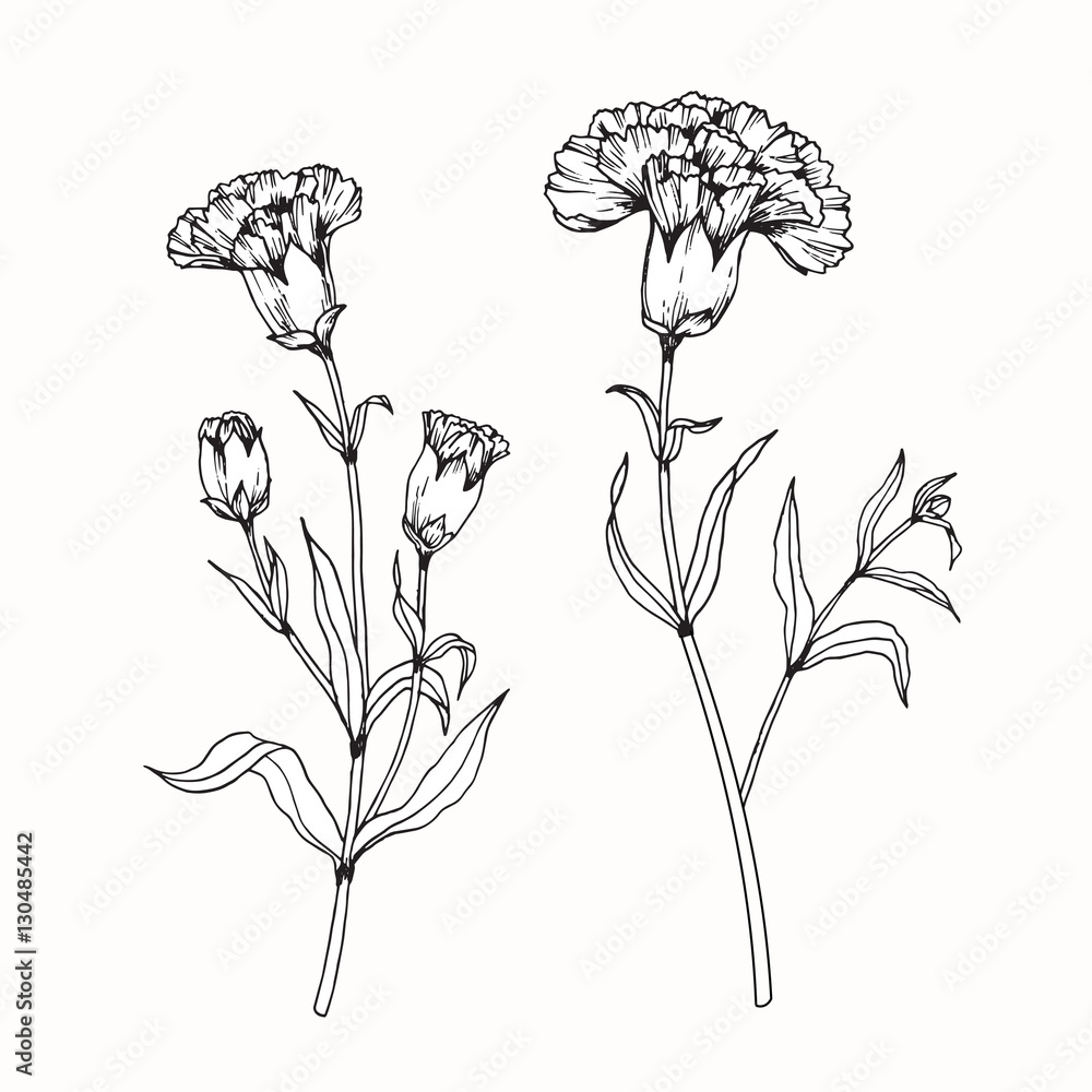 Free clip flower illustration, Download Free clip flower illustration ...