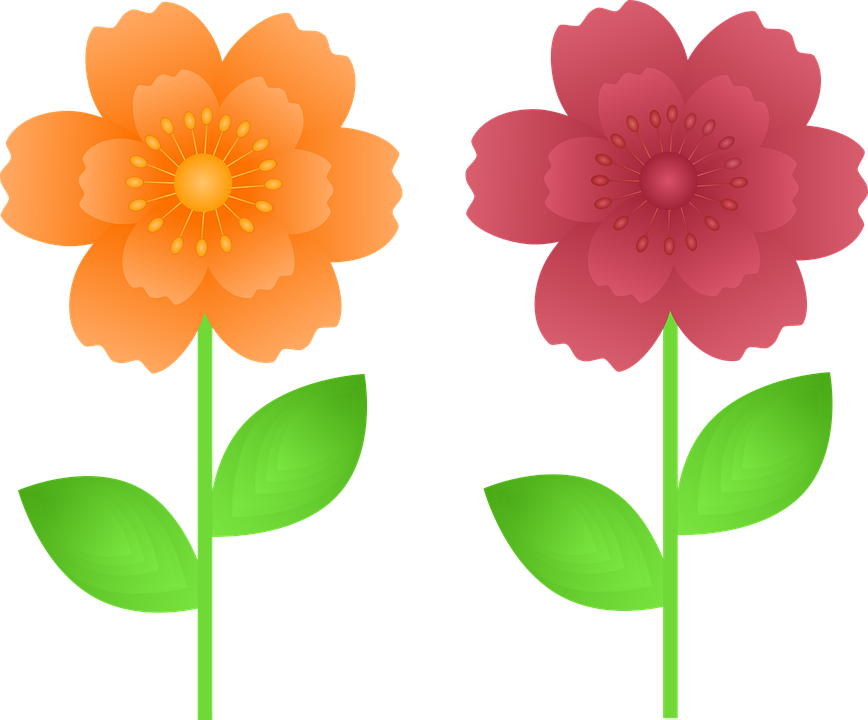 Free clip flower illustrations, Download Free clip flower illustrations ...