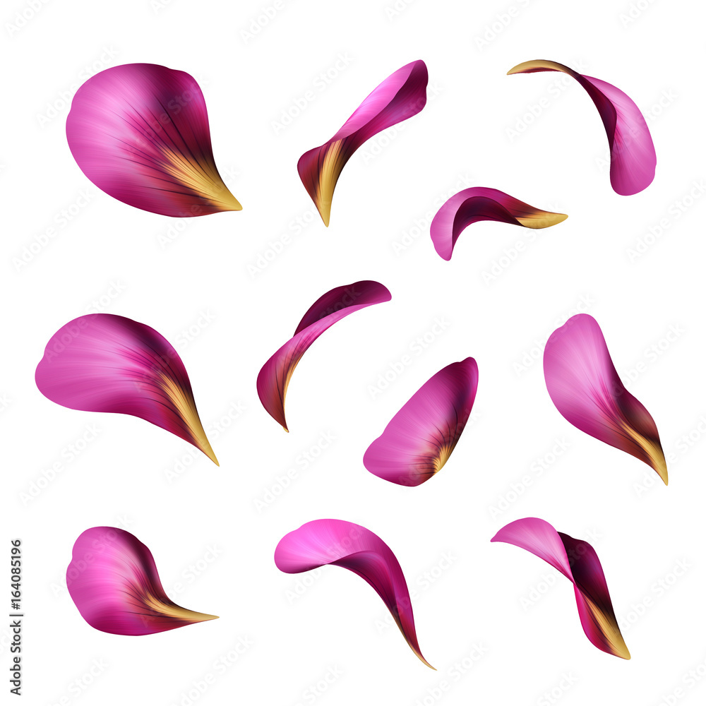 Free clip flower petalss, Download Free clip flower petalss png images ...