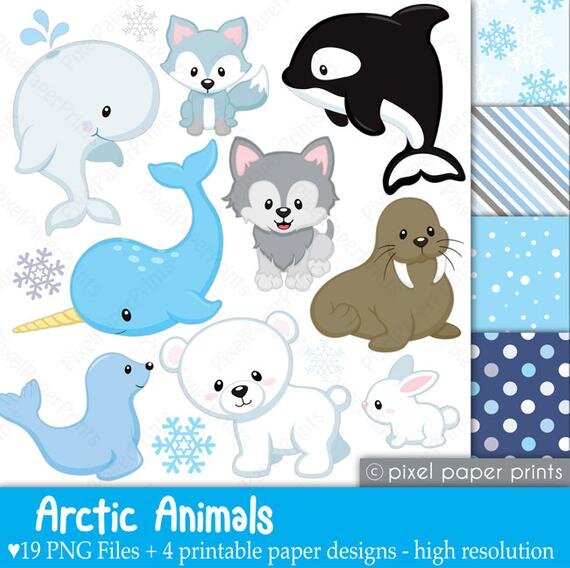 Free clip free arctic animals, Download Free clip free arctic animals ...