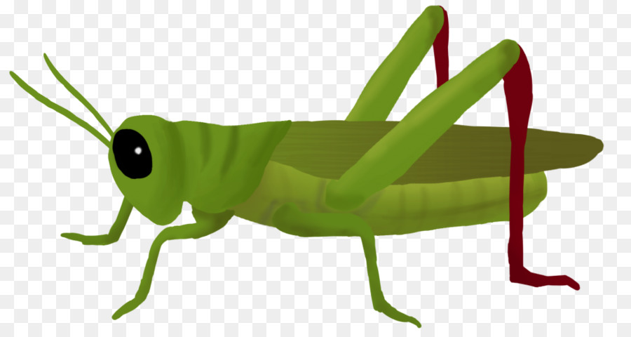 Free clip free grasshopper, Download Free clip free grasshopper png ...