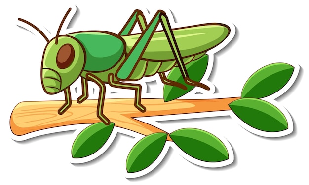 Free clip free grasshopper, Download Free clip free grasshopper png ...