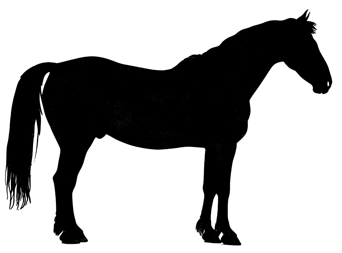 Free clip free horse graphics, Download Free clip free horse graphics ...