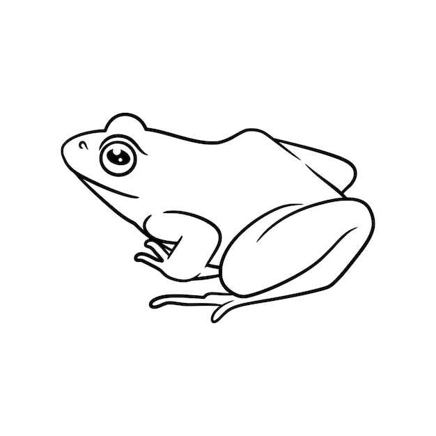 Free clip frog lines, Download Free clip frog lines png images, Free ...