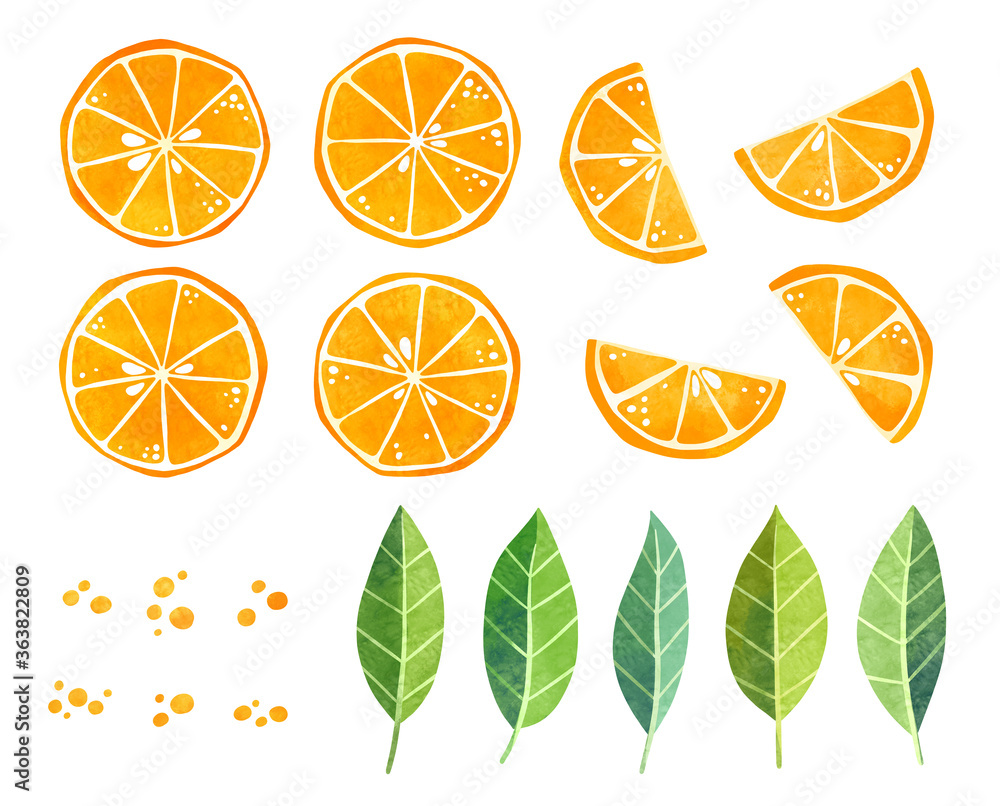 Free clip fruit oranges, Download Free clip fruit oranges png images ...