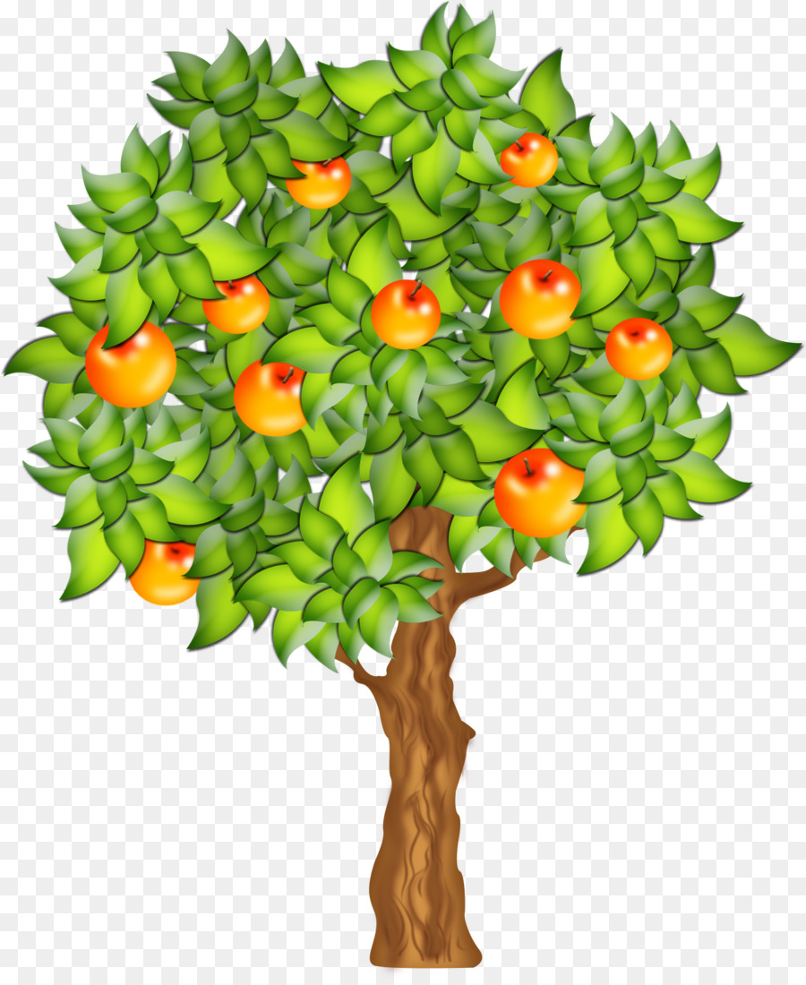 Free clip fruit tree, Download Free clip fruit tree png images, Free ...