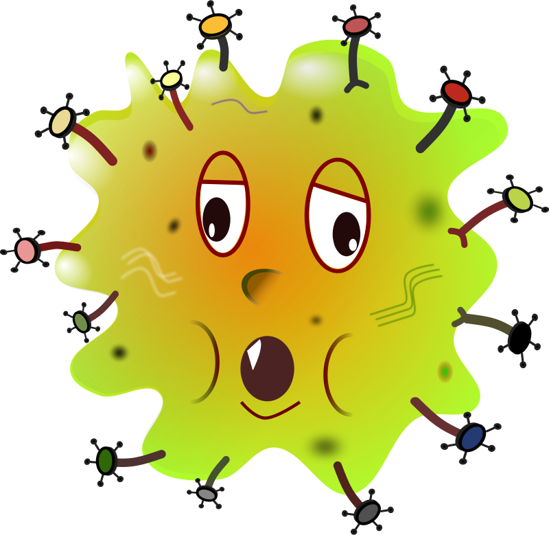 Free clip germs, Download Free clip germs png images, Free ClipArts on ...