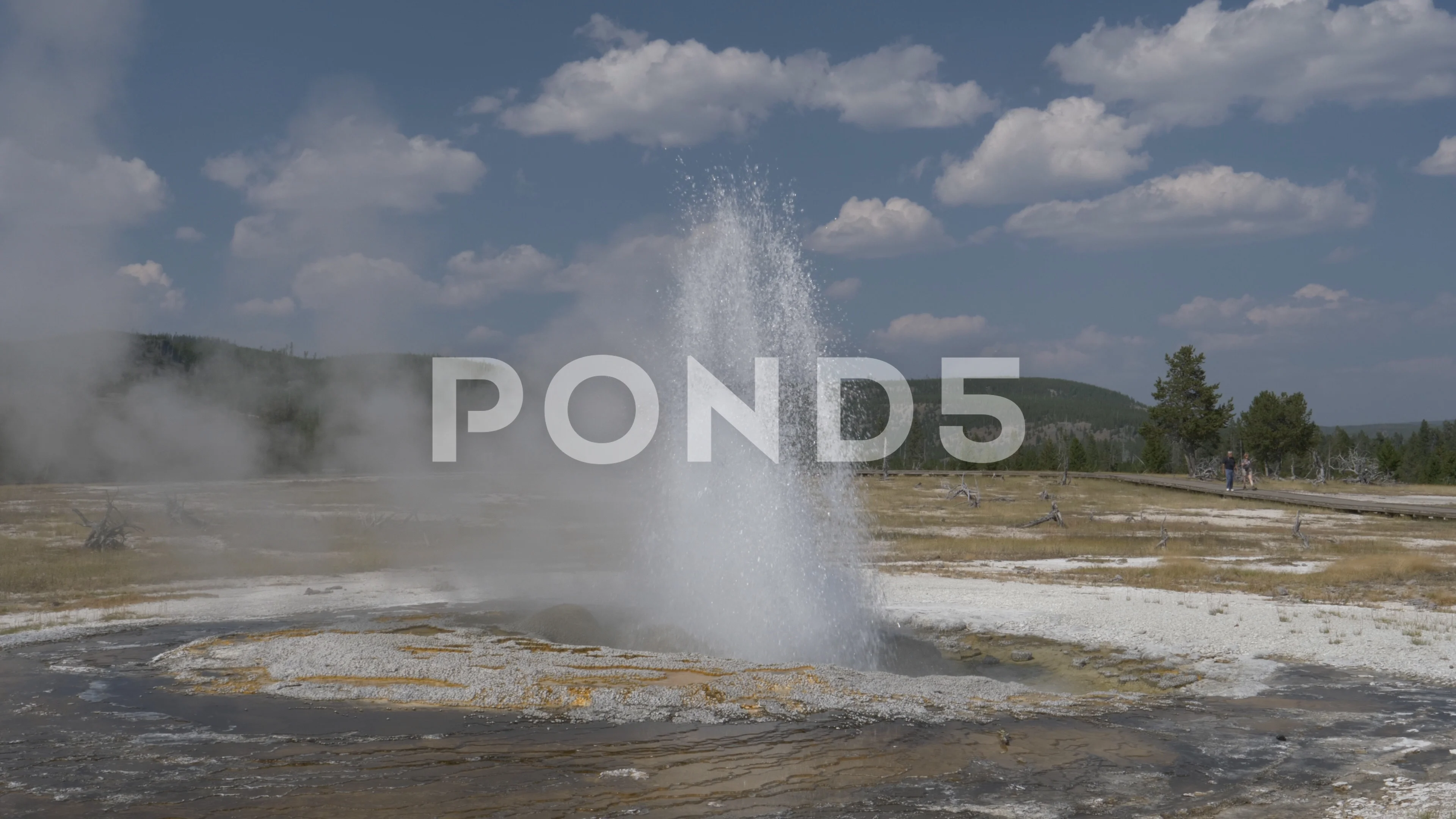 Free clip geyser, Download Free clip geyser png images, Free ClipArts ...