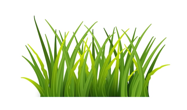 Free clip grass cartoon, Download Free clip grass cartoon png images ...