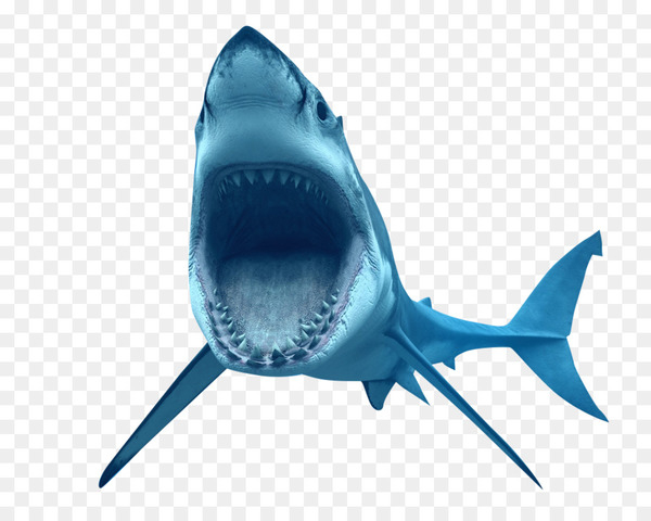 Free: Great white shark Clip art - Ferocious shark - nohat.cc - Clip ...