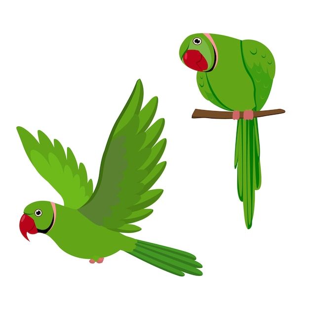 Free clip green parrots, Download Free clip green parrots png images ...