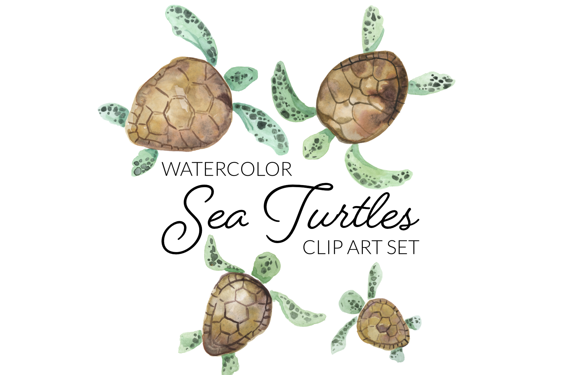 Free clip green turtles, Download Free clip green turtles png images ...