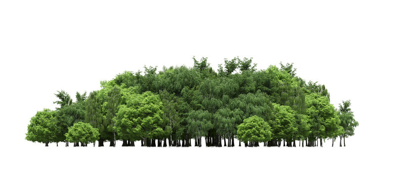 Free clip group of trees, Download Free clip group of trees png images ...