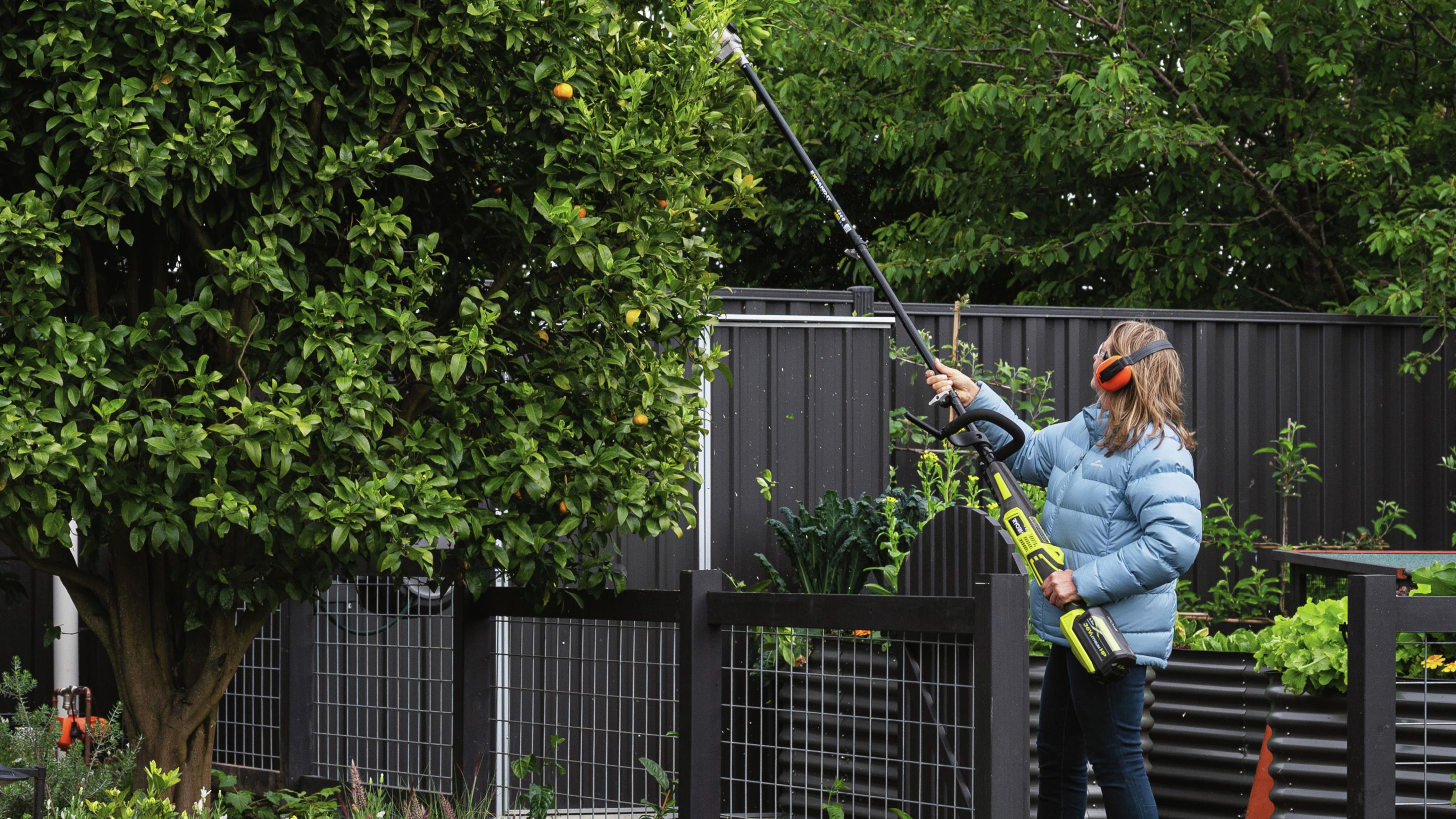 Prune Trees Safely With Ryobi - Bunnings Australia - Clip Art Library