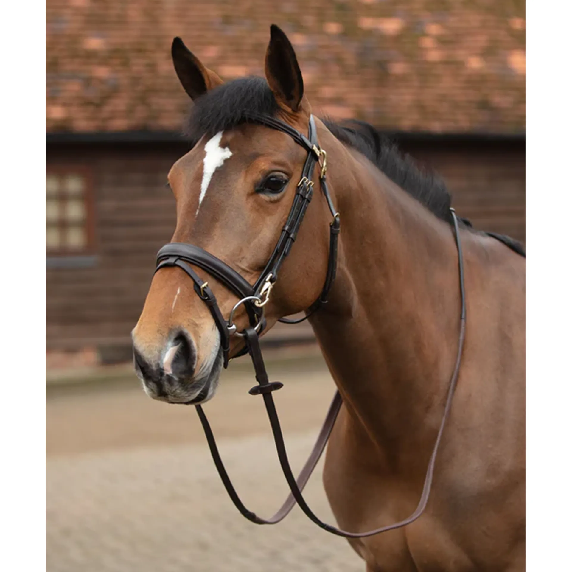 Free clip horse bridles, Download Free clip horse bridles png images ...