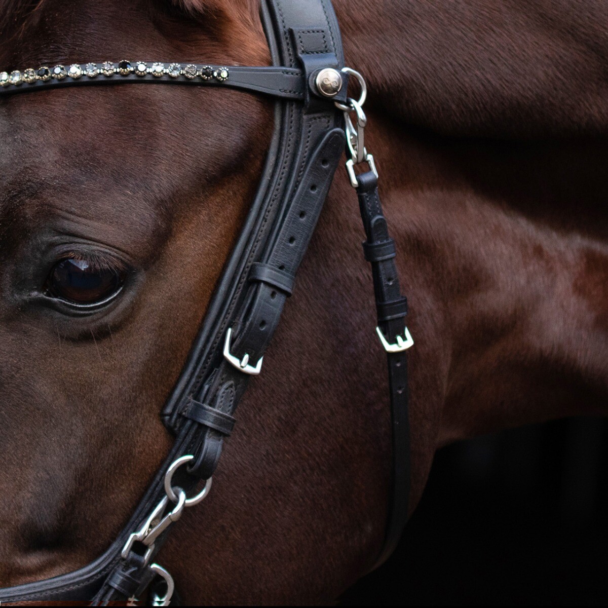 Free clip horse bridles, Download Free clip horse bridles png images ...