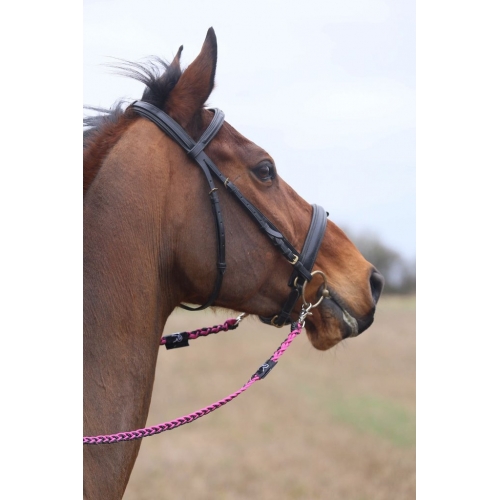 Free clip horse bridles, Download Free clip horse bridles png images ...