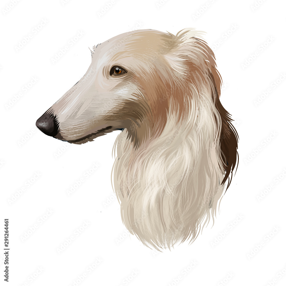 Borzoi, Russian wolfhound, Russian Hunting Sighthound dog digital ...