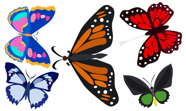 Free clip images for butterflies, Download Free clip images for ...