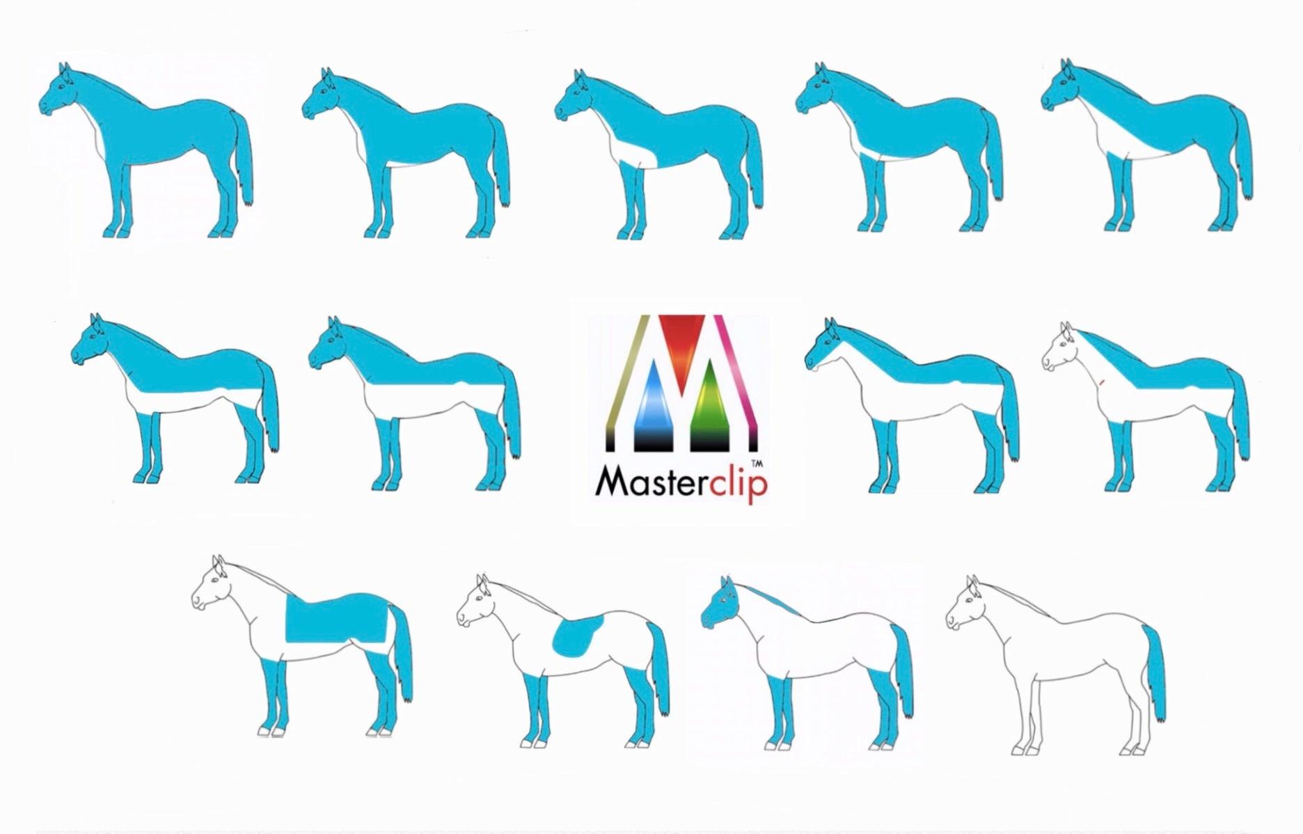 horse-clipping-101-how-to-clip-your-horse-and-choose-the-type-of