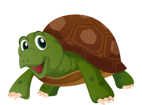 Free clip images of turtle, Download Free clip images of turtle png ...