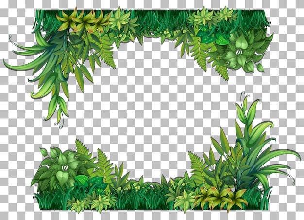 Free Clip Jungle Border, Download Free Clip Jungle Border Png Images 