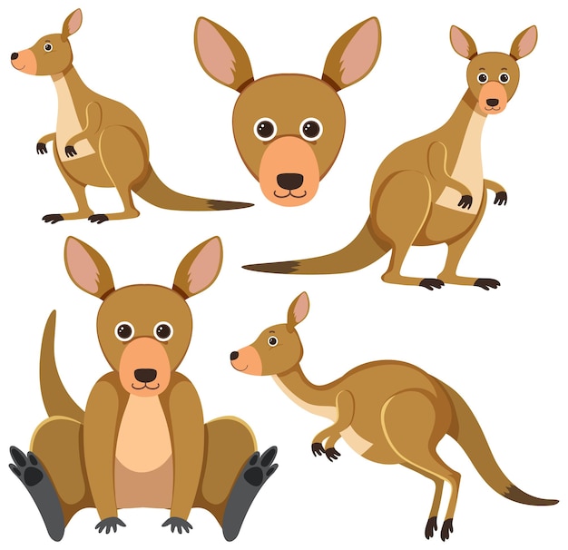 Free clip kangaroo pic, Download Free clip kangaroo pic png images ...