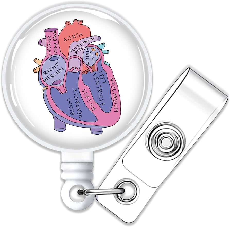 Free Clip Kidneys Office, Download Free Clip Kidneys Office Png Images 