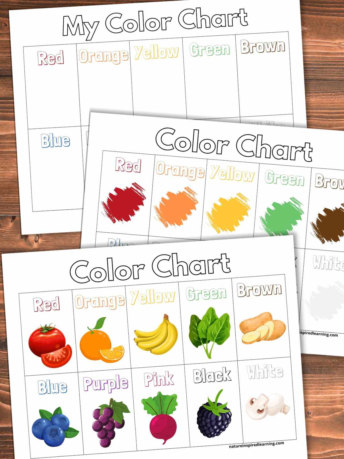 Color Charts Plus Activity Ideas - Nature Inspired Learning - Clip Art ...