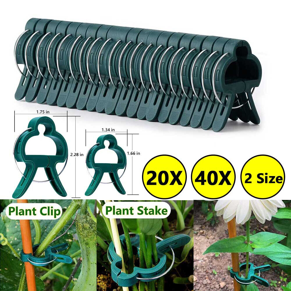 20/40PCS Garden Plant Clips Plants Support Tool Small Large Ties 2 ...