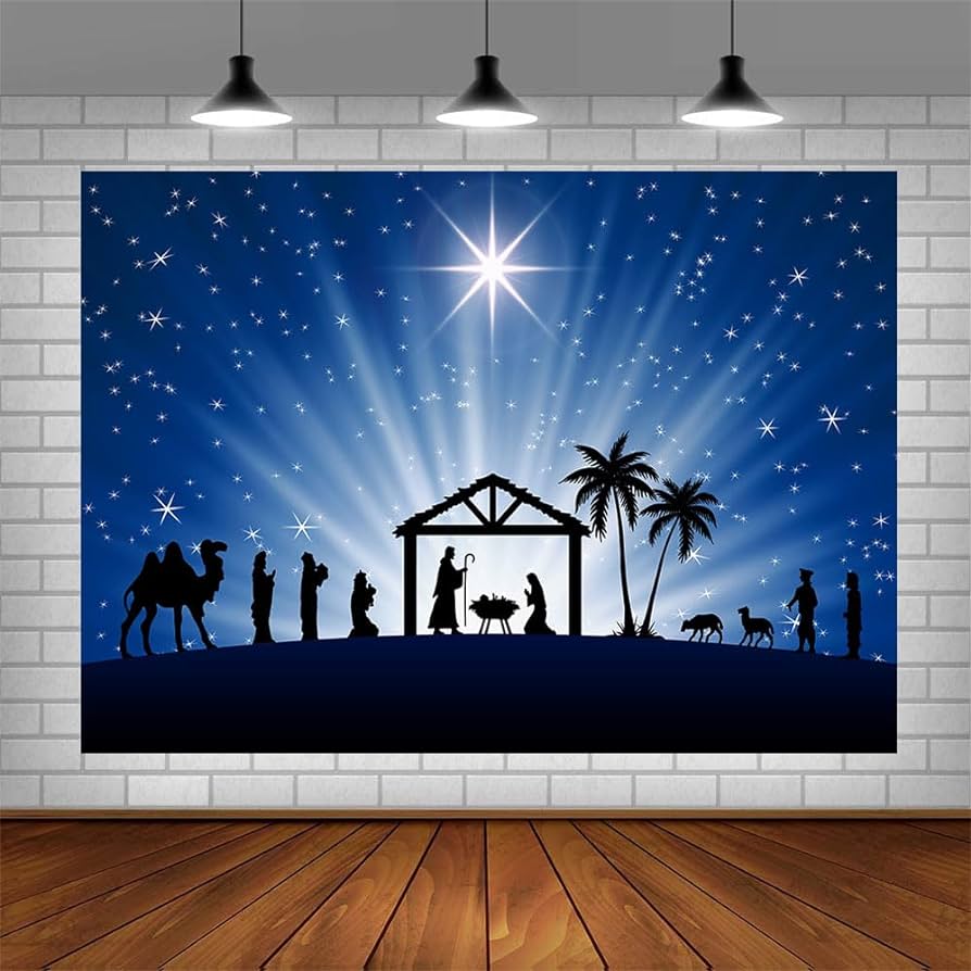 AIBIIN 10x7ft Birth of Jesus Backdrop Christmas Night Manger Nativity ...