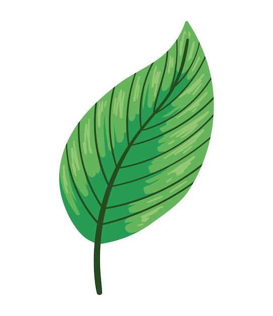 Free clip leaf free, Download Free clip leaf free png images, Free ...