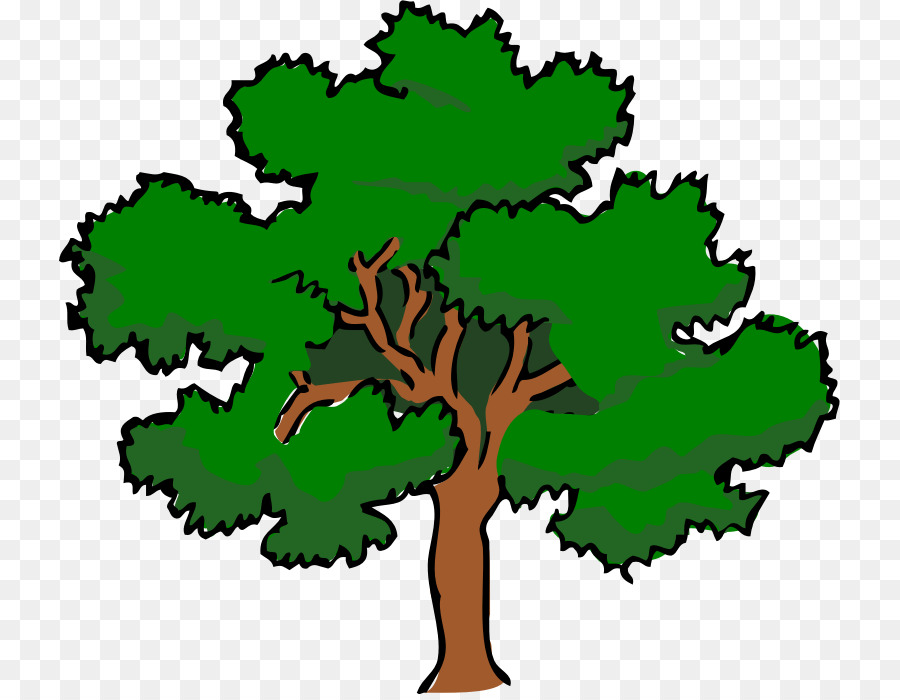 Southern Live Oak - Oak Tree Silhouette - CleanPNG / KissPNG - Clip Art ...