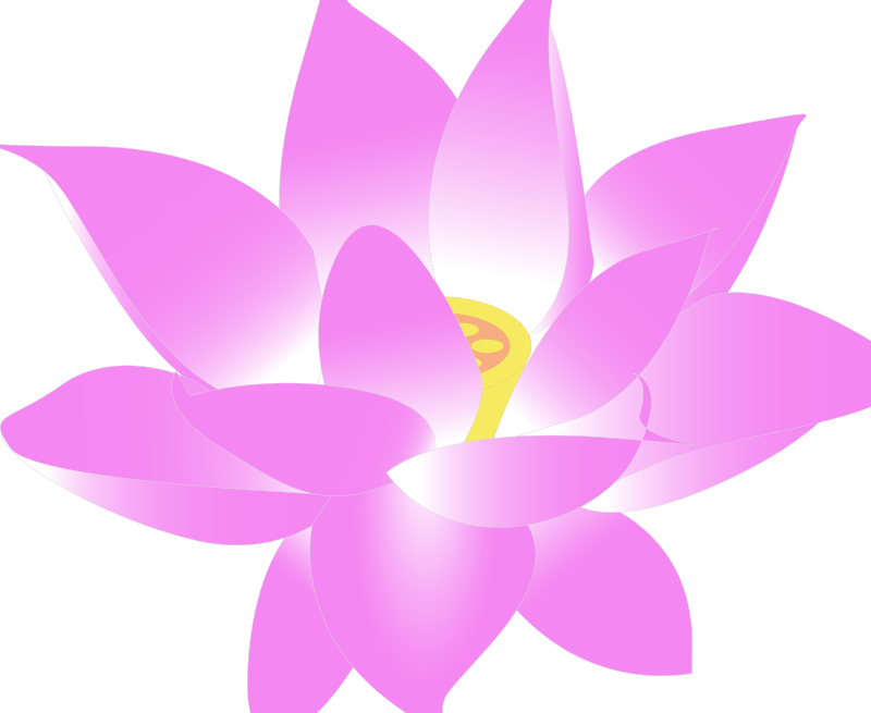 Free clip lotus blossoms, Download Free clip lotus blossoms png images ...