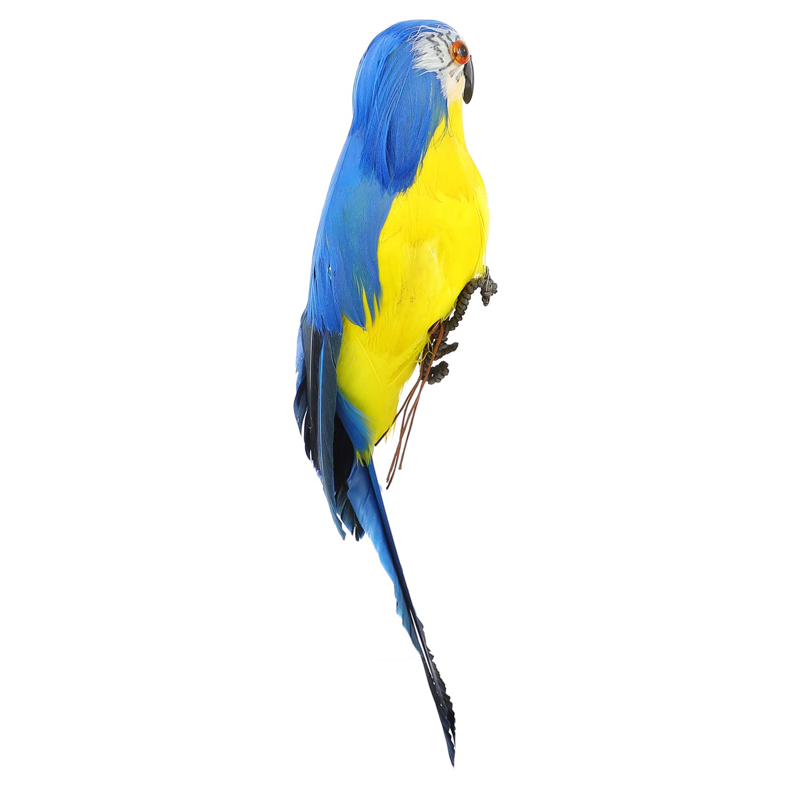 Blue Macaw Flying: Over 2,653 Royalty-Free Licensable Stock ... - Clip ...