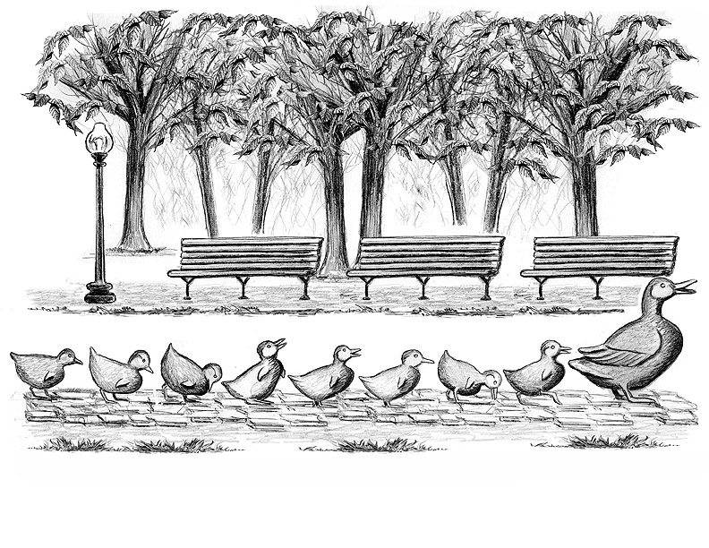 Make Way for Duckling Products - Blackstones of Beacon Hill - Clip Art ...