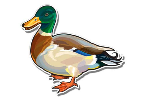 Free clip mallard, Download Free clip mallard png images, Free ClipArts ...