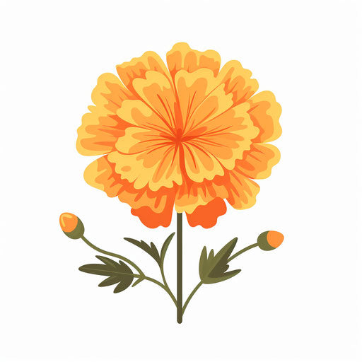 Free: Marigold Calendula officinalis Clip art - Marigold PNG HD ...