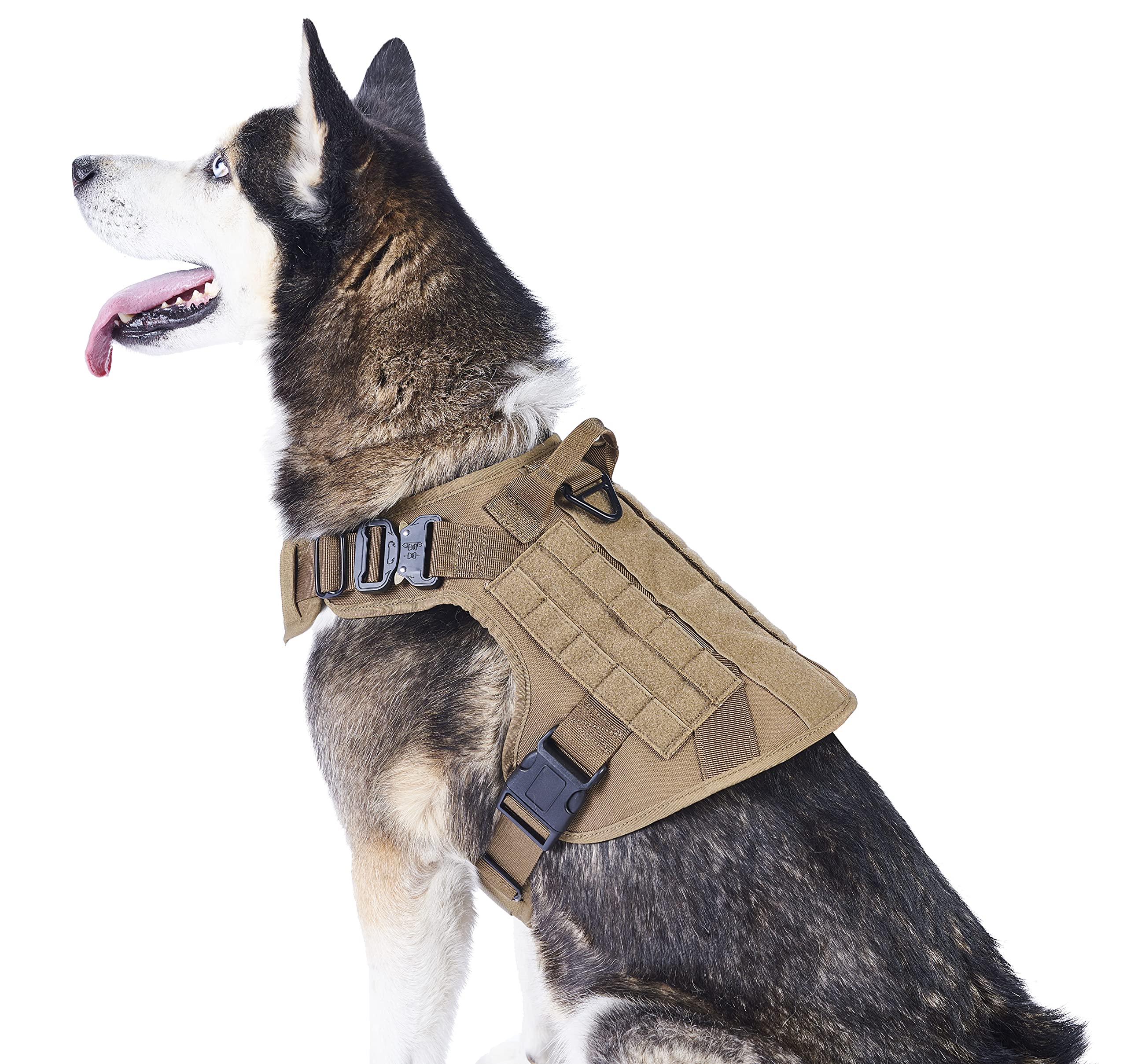 Free clip military dogs, Download Free clip military dogs png images ...