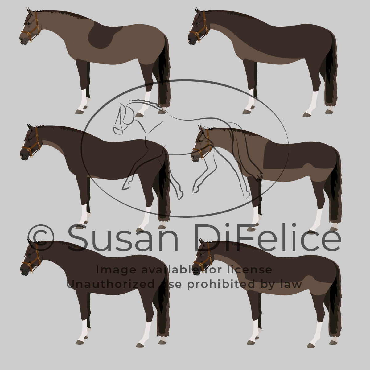 Horse Body Clip Types - Clip Art Library