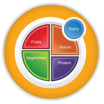 Free clip myplate nutritions, Download Free clip myplate nutritions png ...