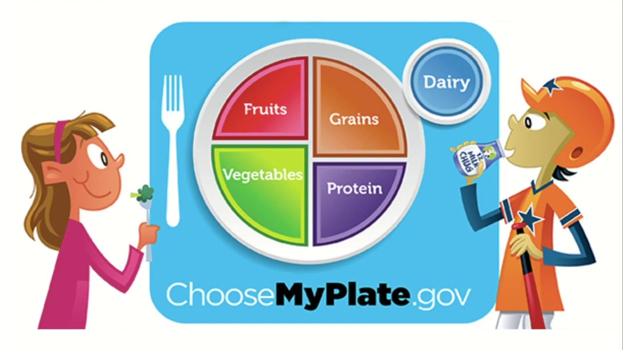 MyPlate Overview | PPT - Clip Art Library