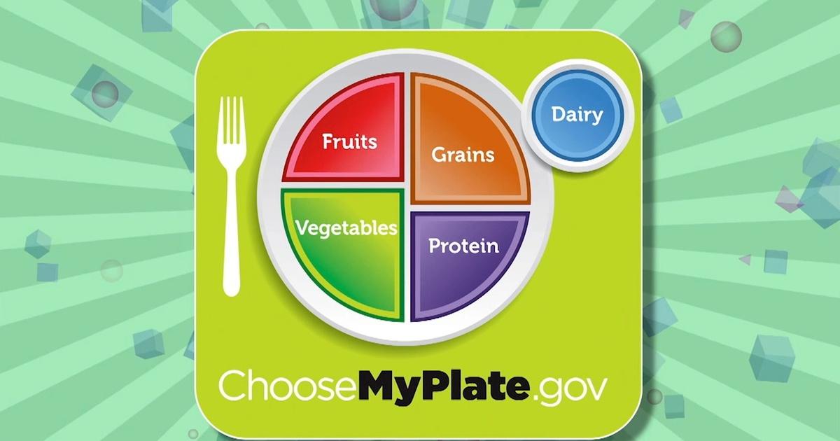 MyPlate Plate - 1018316 - W44791 - WA29164 - Ernährungsberatung ...