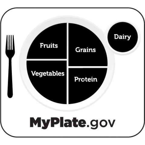 MyPlate Graphics | MyPlate - Clip Art Library