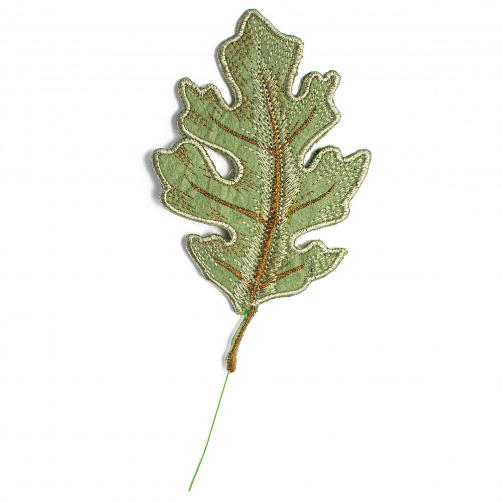 Free clip oak leafs, Download Free clip oak leafs png images, Free ...