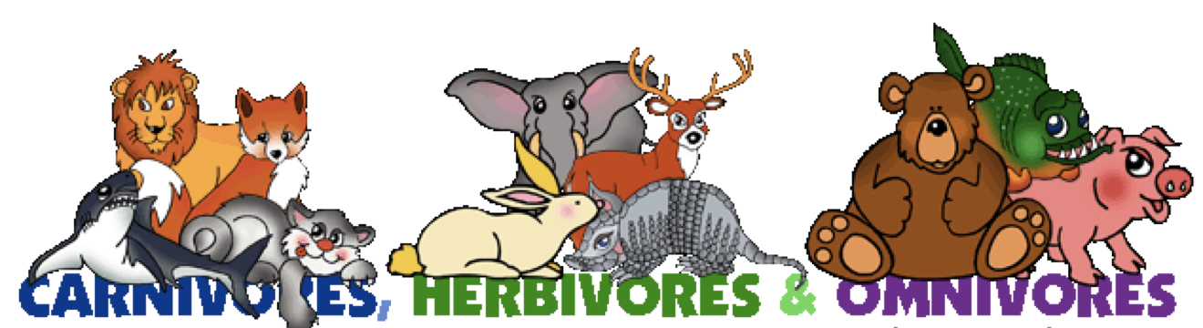 omnivore animals clipart