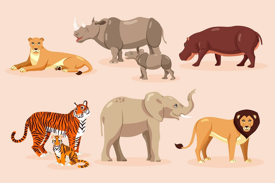 omnivore animals clipart