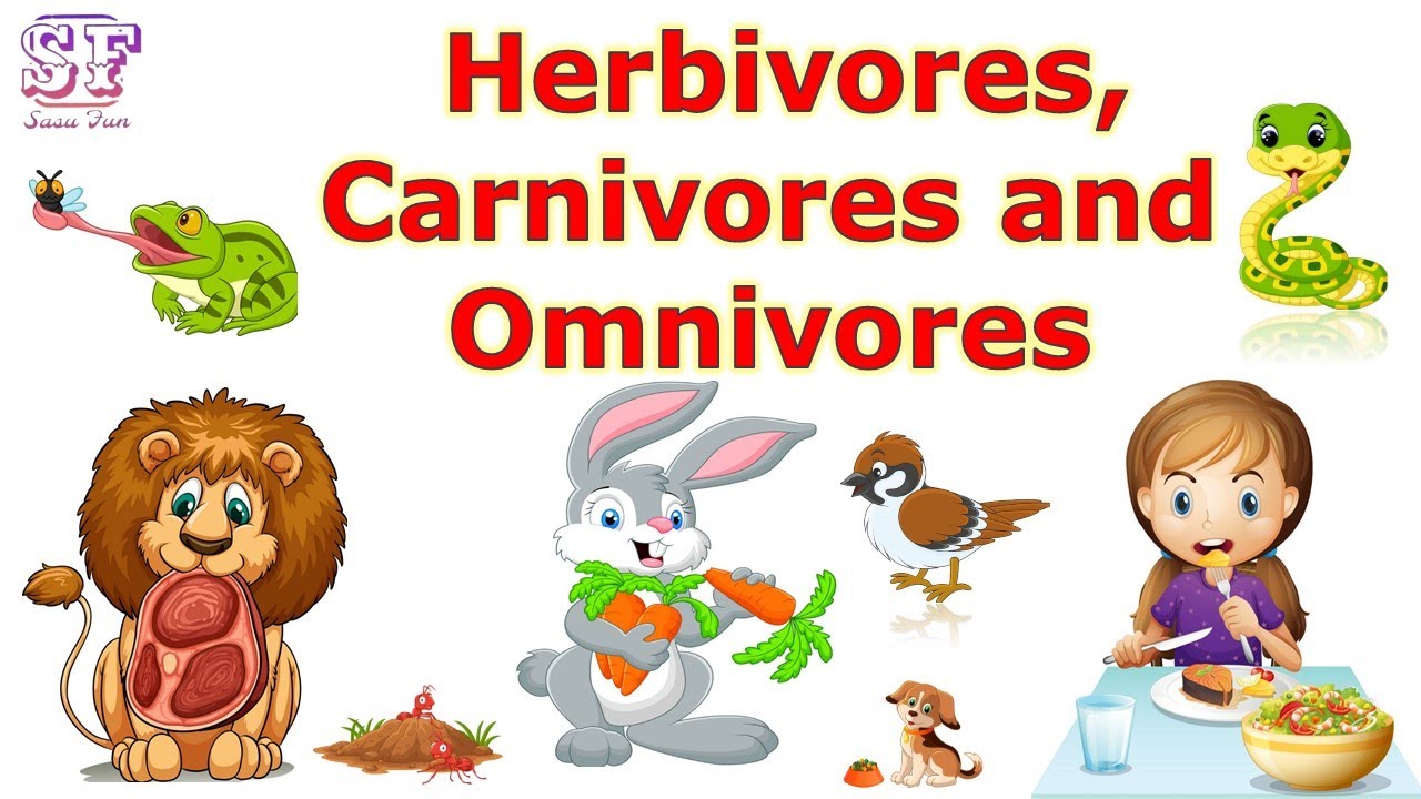 Free clip omnivores, Download Free clip omnivores png images, Free ...